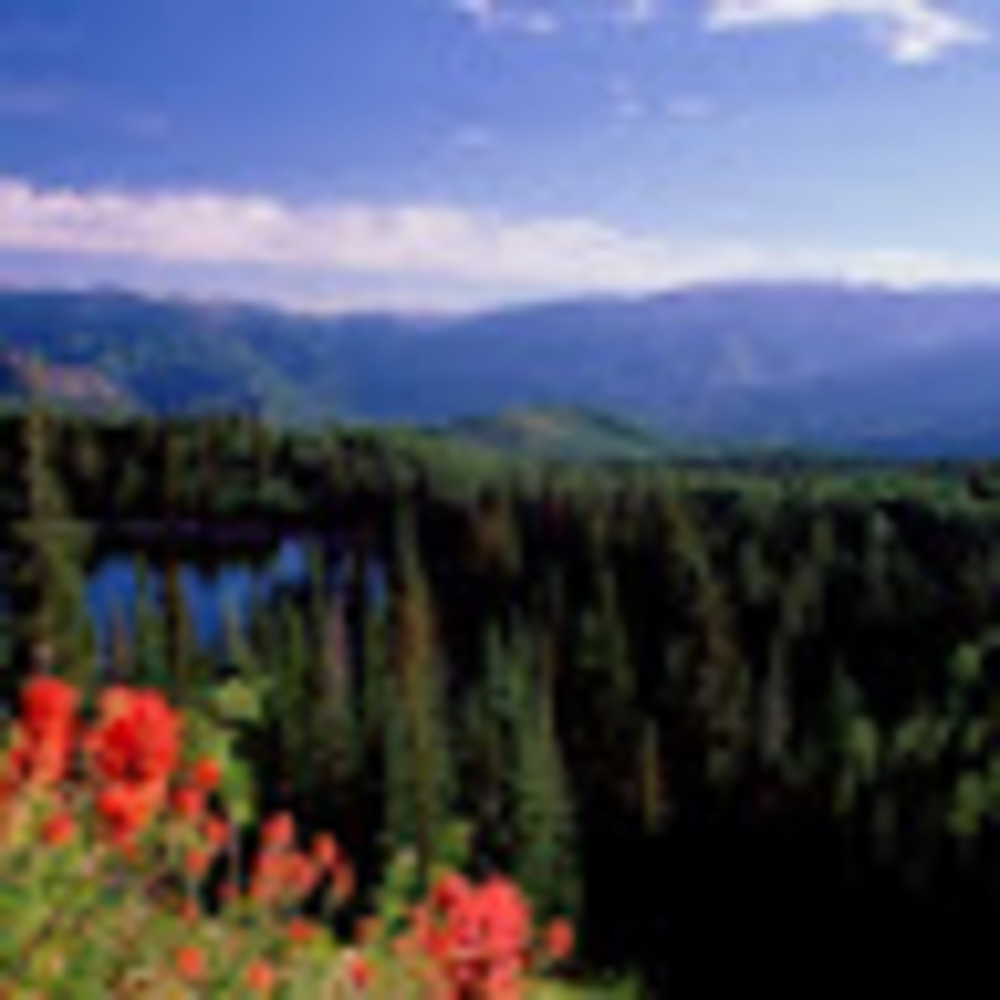 Meet your Posher, Alexa